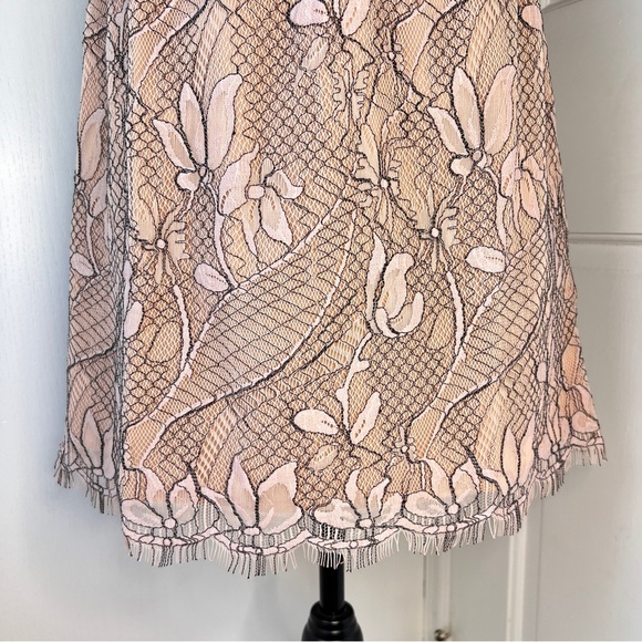 Wayf Off the Shoulder Blush Lace Mini Dress NWT - Picture 4 of 13
